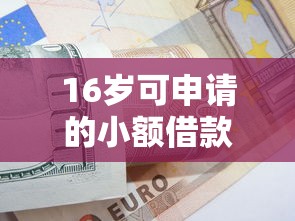 16岁可申请的小额借款指南