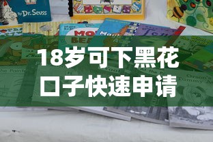 18岁可下黑花口子快速申请渠道