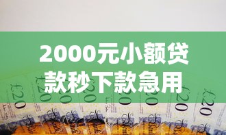 2000元小额贷款秒下款急用钱必看