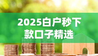 2025白户秒下款口子精选