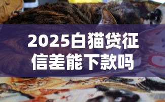 2025白猫贷征信差能下款吗