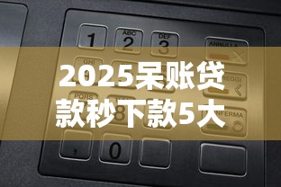 2025呆账贷款秒下款5大口子
