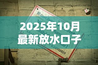 2025年10月最新放水口子汇总