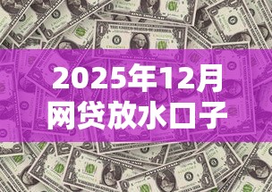 2025年12月网贷放水口子大全