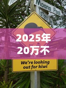 2025年20万不上征信贷款新途径
