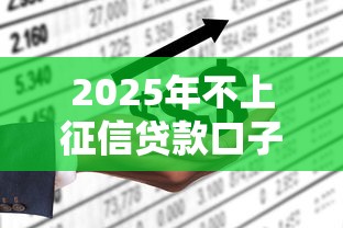 2025年不上征信贷款口子大全
