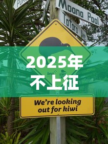 2025年不上征信贷款口子推荐