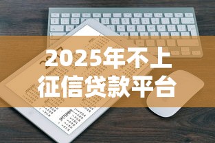 2025年不上征信贷款平台全解析