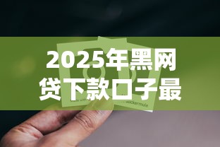 2025年黑网贷下款口子最新解析