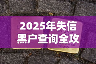 2025年失信黑户查询全攻略