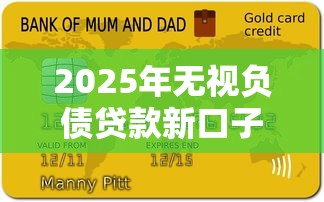 2025年无视负债贷款新口子