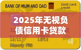 2025年无视负债信用卡贷款口子