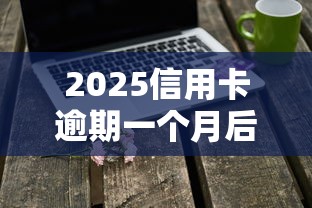 2025信用卡逾期一个月后果解析