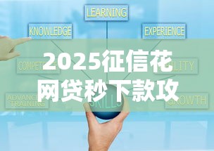2025征信花网贷秒下款攻略