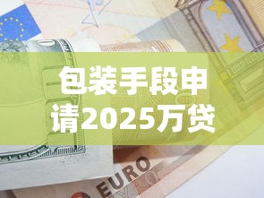 包装手段申请2025万贷款风险解析