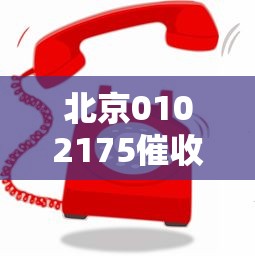 北京0102175催收电话归属地查询