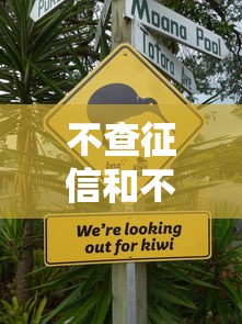 不查征信和不上征信的区别解析