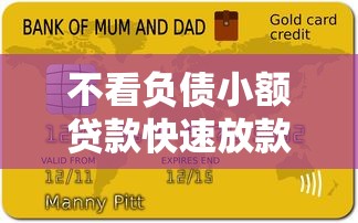 不看负债小额贷款快速放款指南