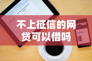 不上征信的网贷可以借吗