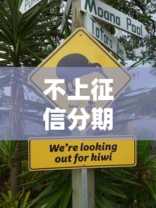 不上征信分期借款平台悄然走红