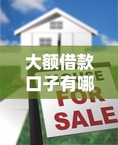 大额借款口子有哪些靠谱平台