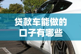 贷款车能做的口子有哪些