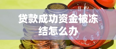 贷款成功资金被冻结怎么办