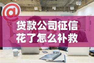 贷款公司征信花了怎么补救