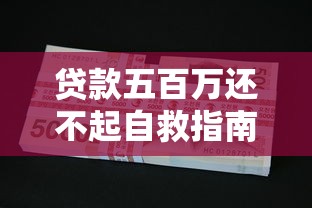 贷款五百万还不起自救指南