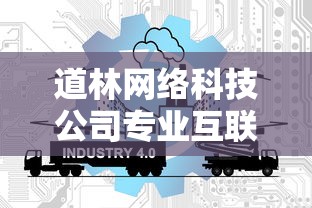 道林网络科技公司专业互联网解决方案