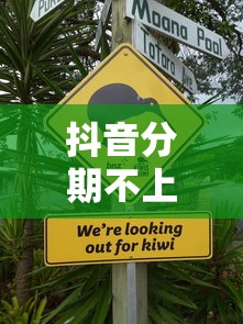 抖音分期不上征信真相解析