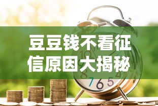豆豆钱不看征信原因大揭秘