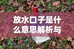放水口子是什么意思解析与作用