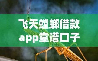 飞天螳螂借款app靠谱口子推荐