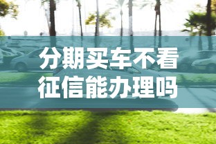 分期买车不看征信能办理吗