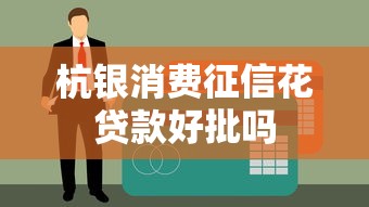 杭银消费征信花贷款好批吗