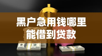 黑户急用钱哪里能借到贷款