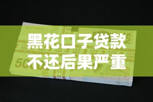 黑花口子贷款不还后果严重吗