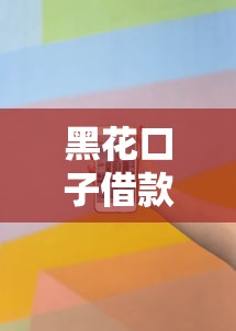 黑花口子借款是什么意思