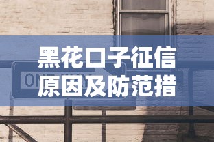 黑花口子征信原因及防范措施