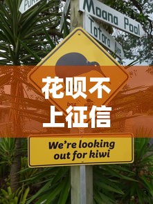 花呗不上征信还能用吗贴吧实测