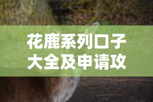 花鹿系列口子大全及申请攻略