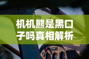 机机熊是黑口子吗真相解析