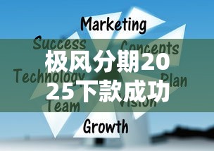 极风分期2025下款成功案例解析