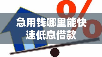 急用钱哪里能快速低息借款