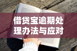 借贷宝逾期处理办法与应对策略