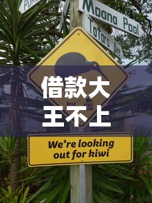 借款大王不上征信靠谱吗