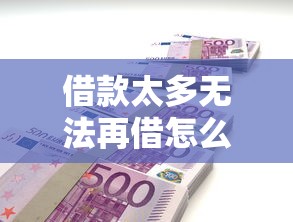 借款太多无法再借怎么办