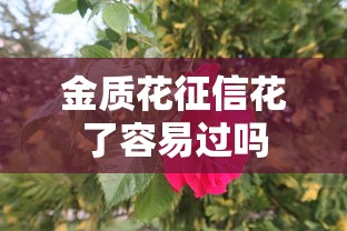 金质花征信花了容易过吗