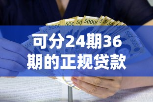 可分24期36期的正规贷款盘点